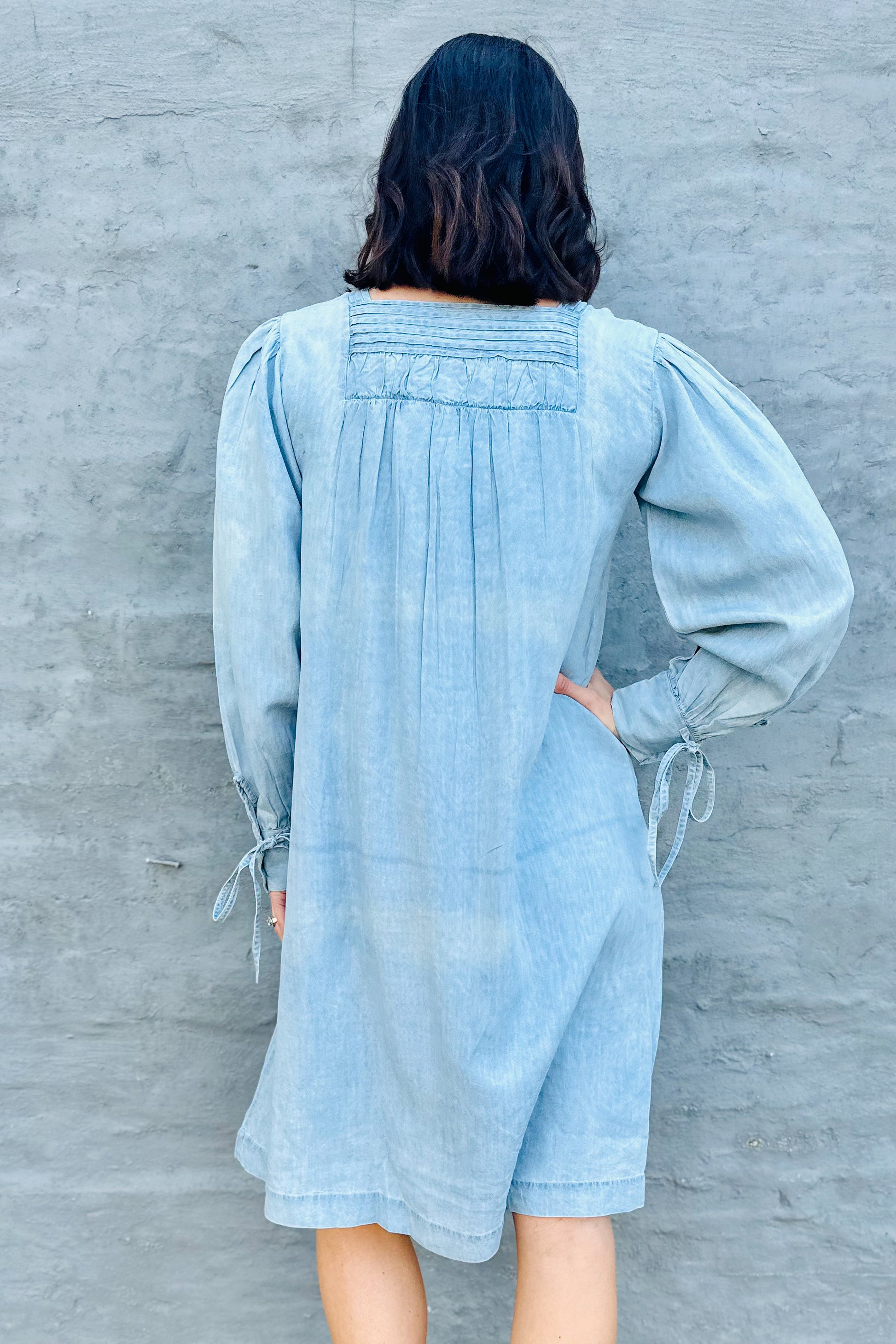Sarita Denim Dress