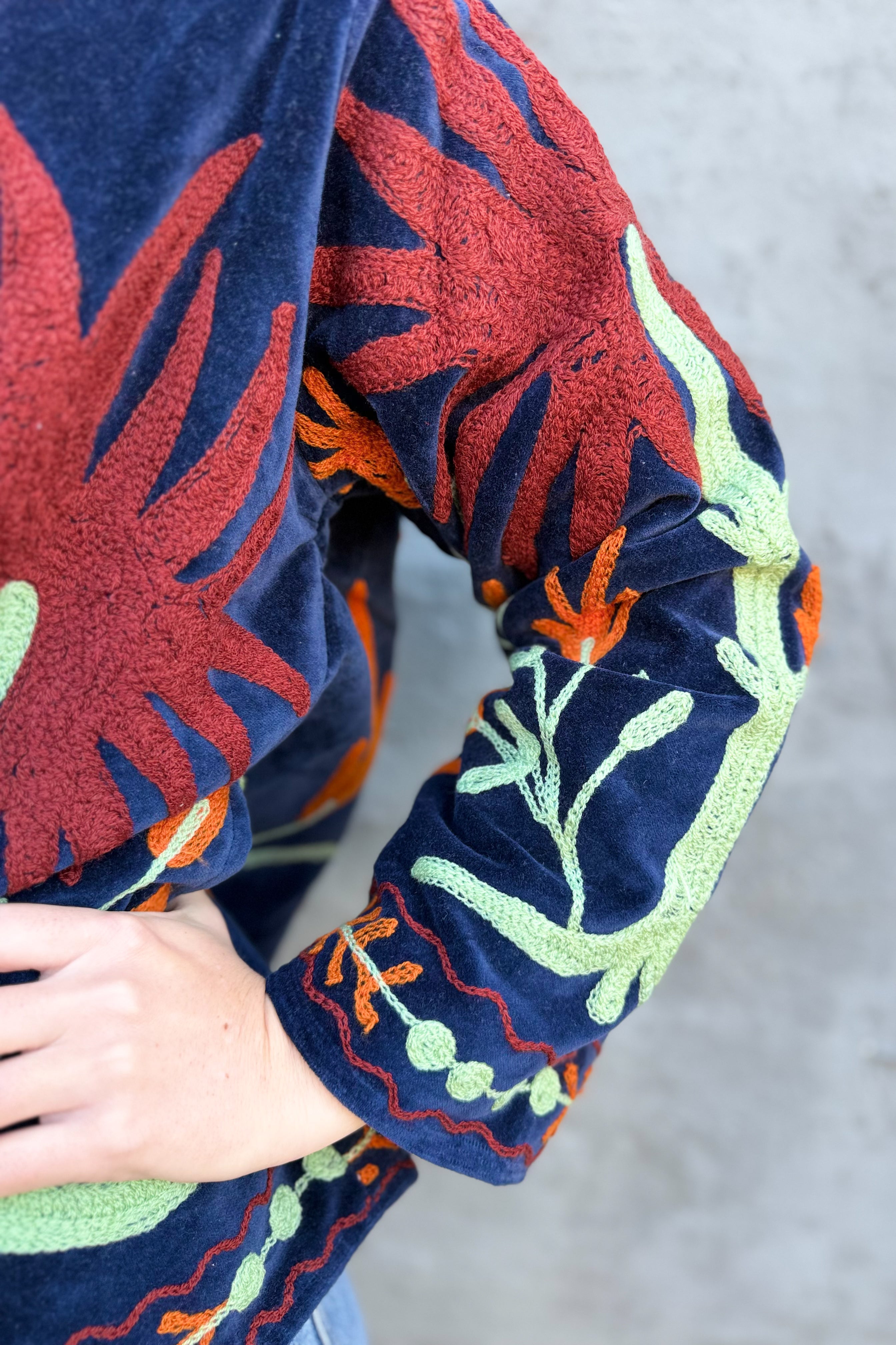 Velvet Suzani Jacket In Strelitzia