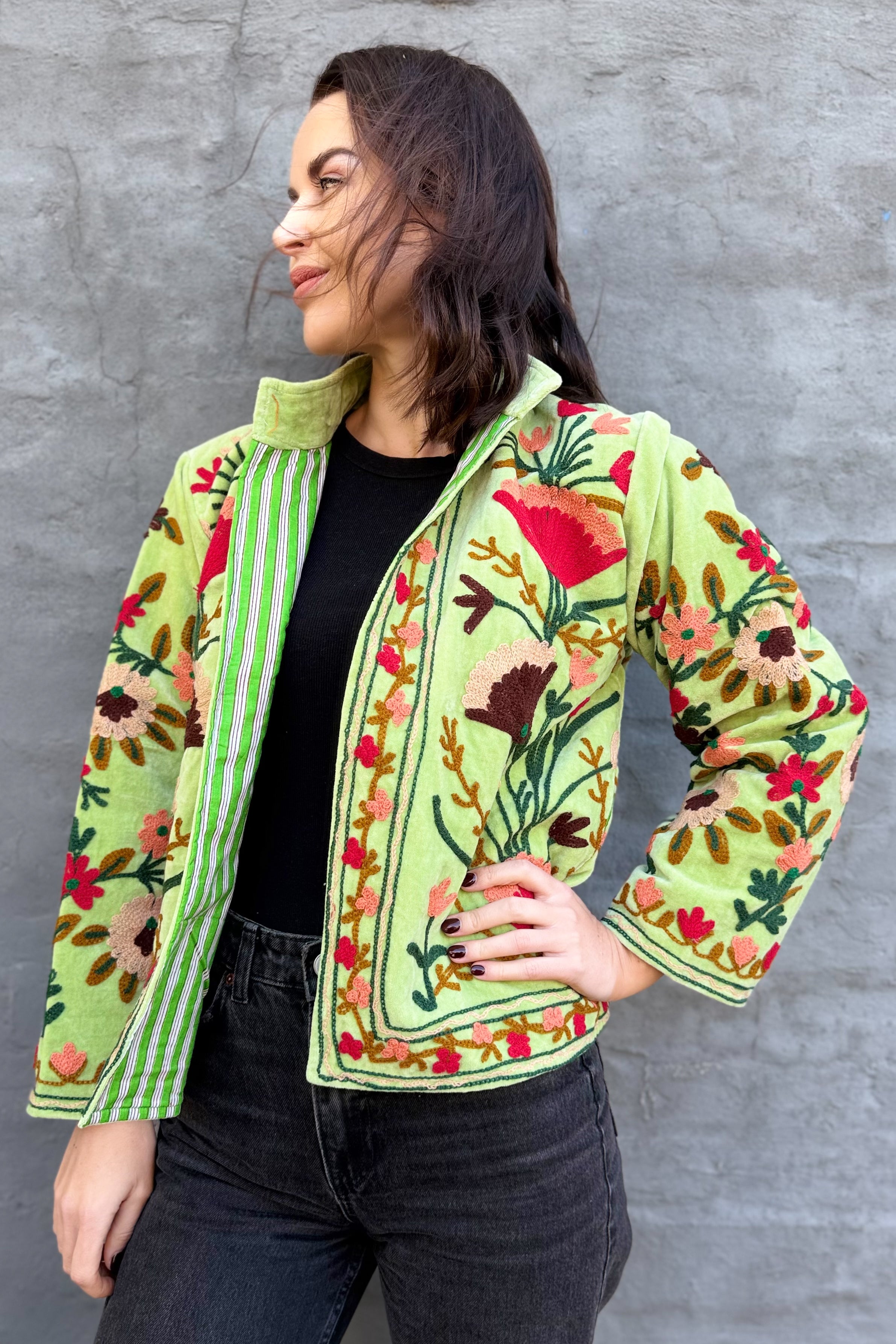 Velvet Suzani Jacket In Lettuce Green