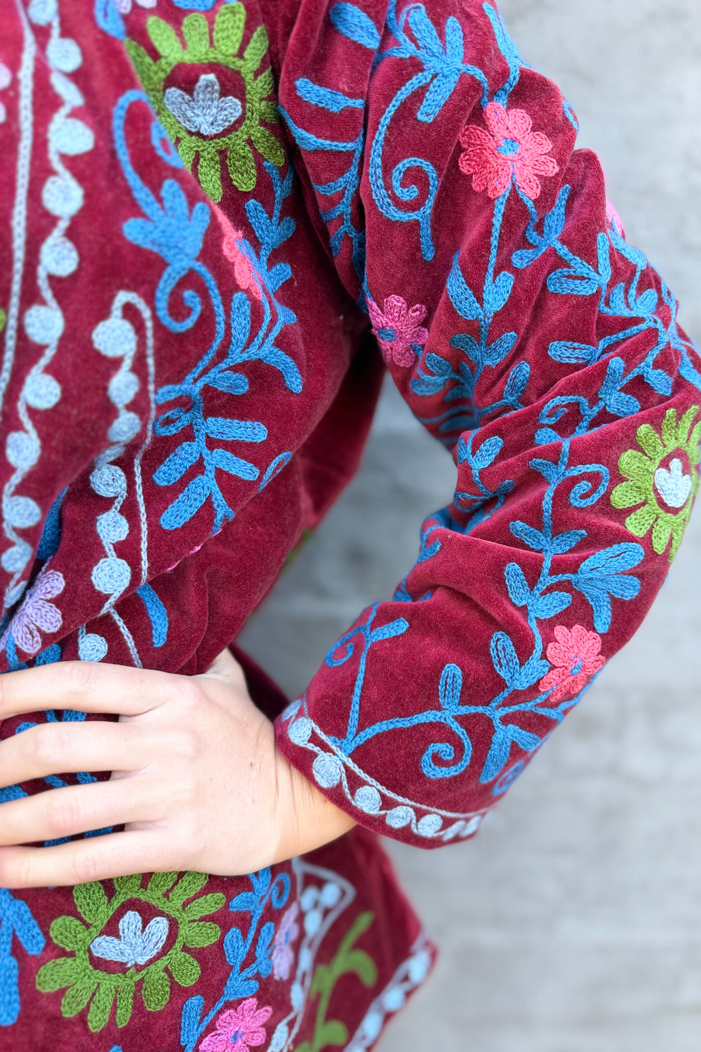 Velvet Suzani Jacket In Rhubarb Red