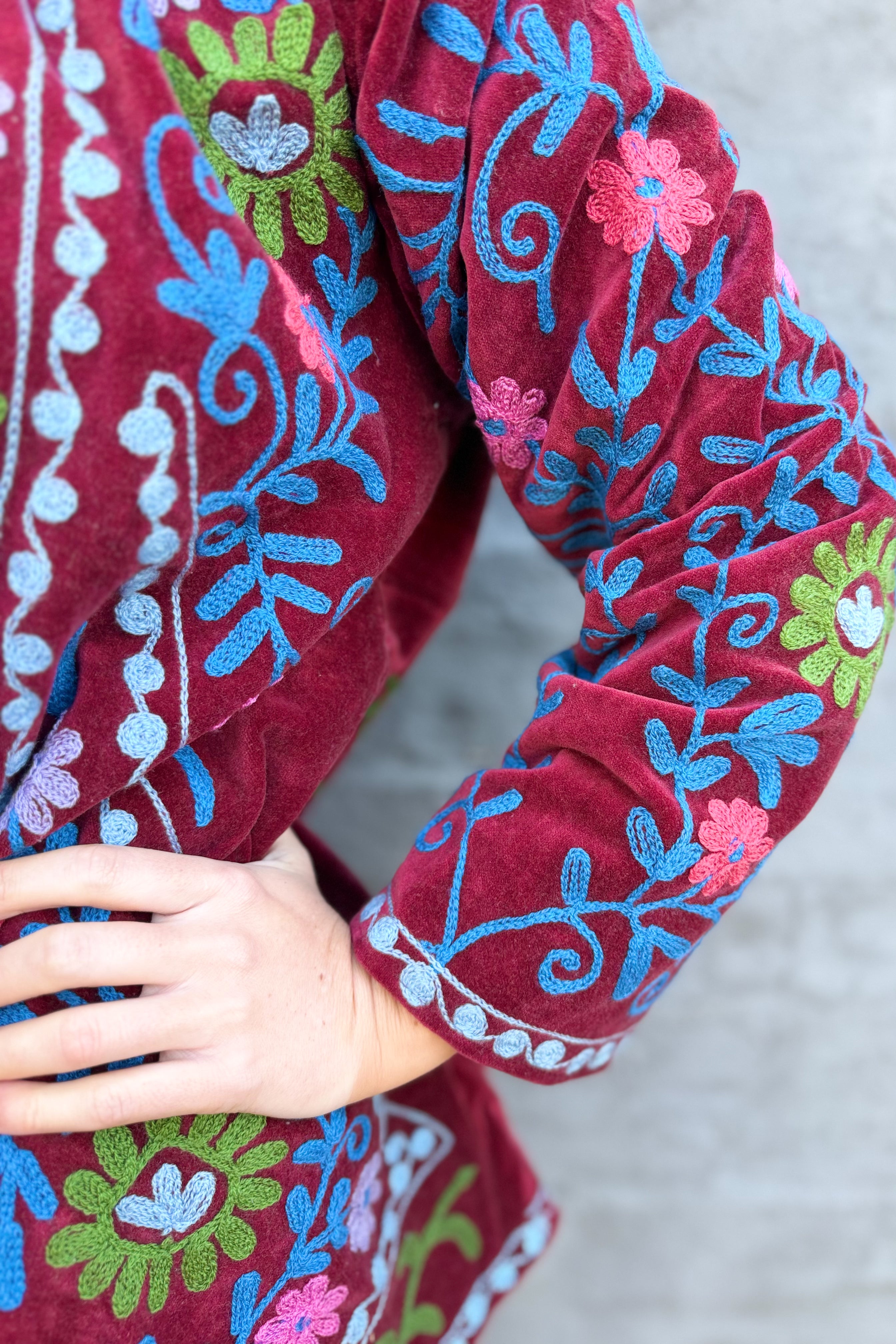 Velvet Suzani Jacket In Rhubarb Red