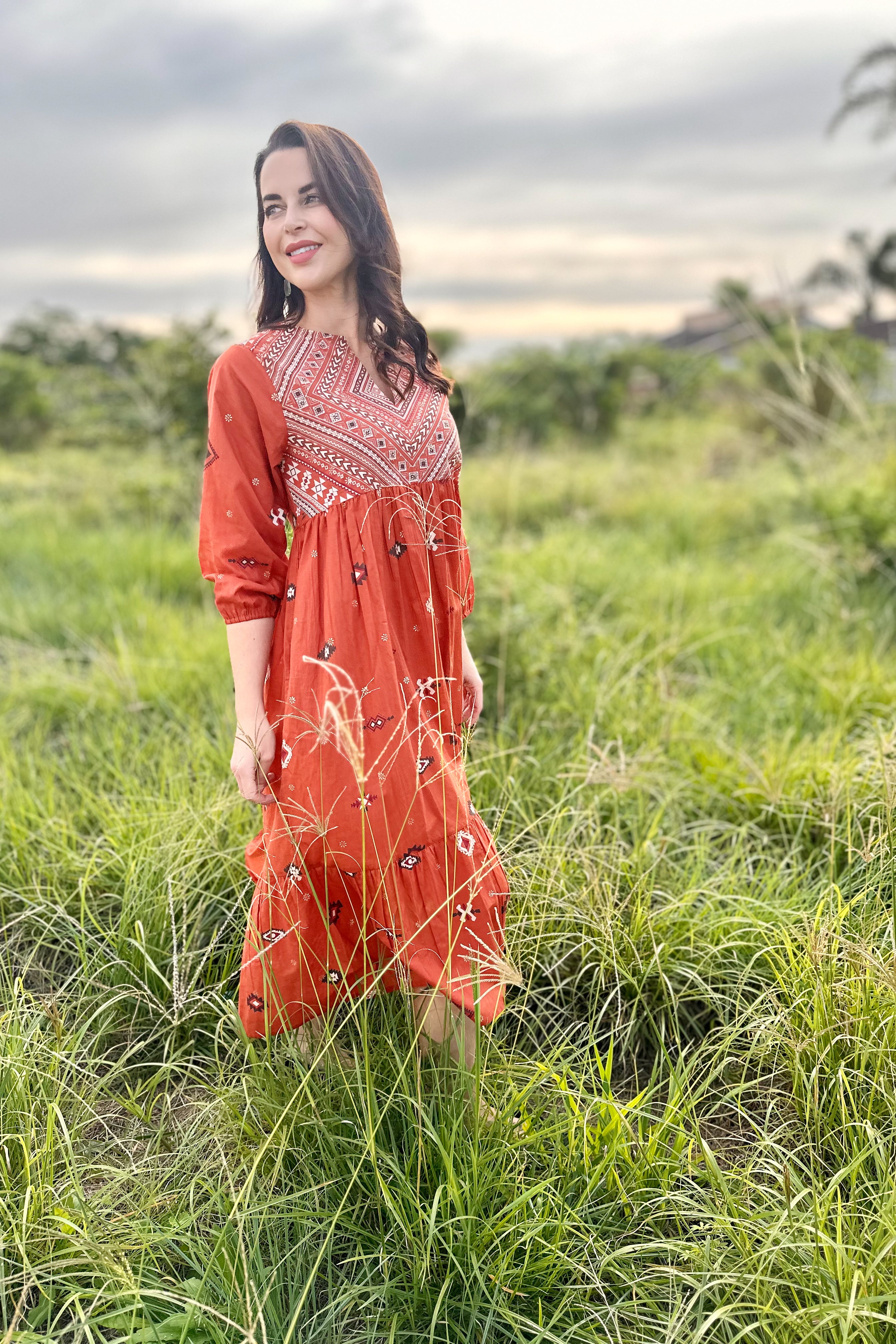Kali Dress In Rooibos
